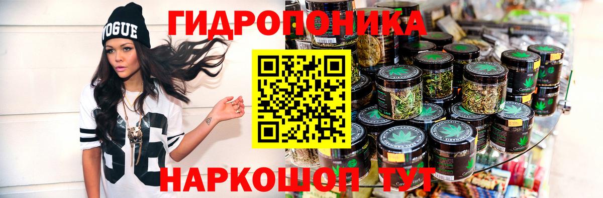 Марихуана семена  Конопля семена  Шишки марихуана ГИДРОПОН  Вход с VPN  Курчалой  Канабис AK-47 