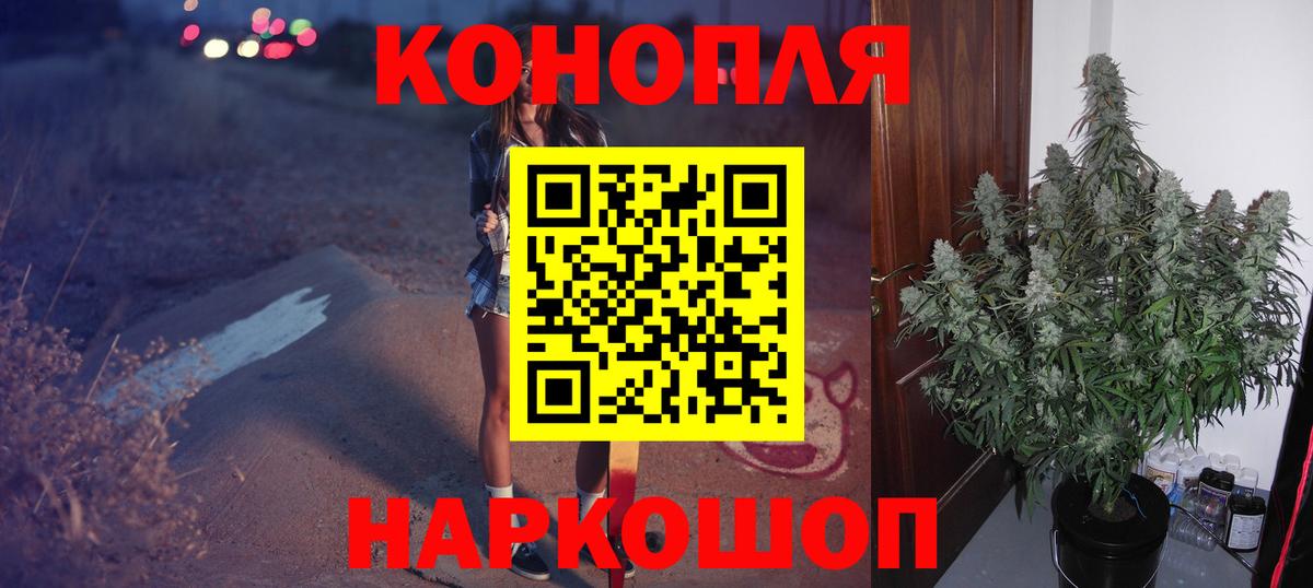 Марихуана конопля Курчалой